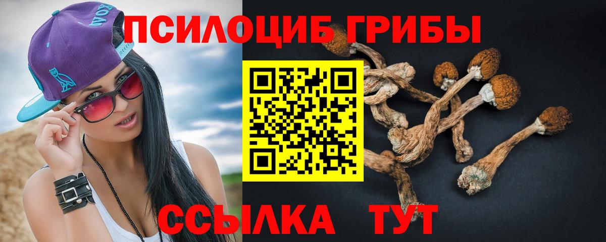 Псилоцибиновые грибы мицелий Узловая