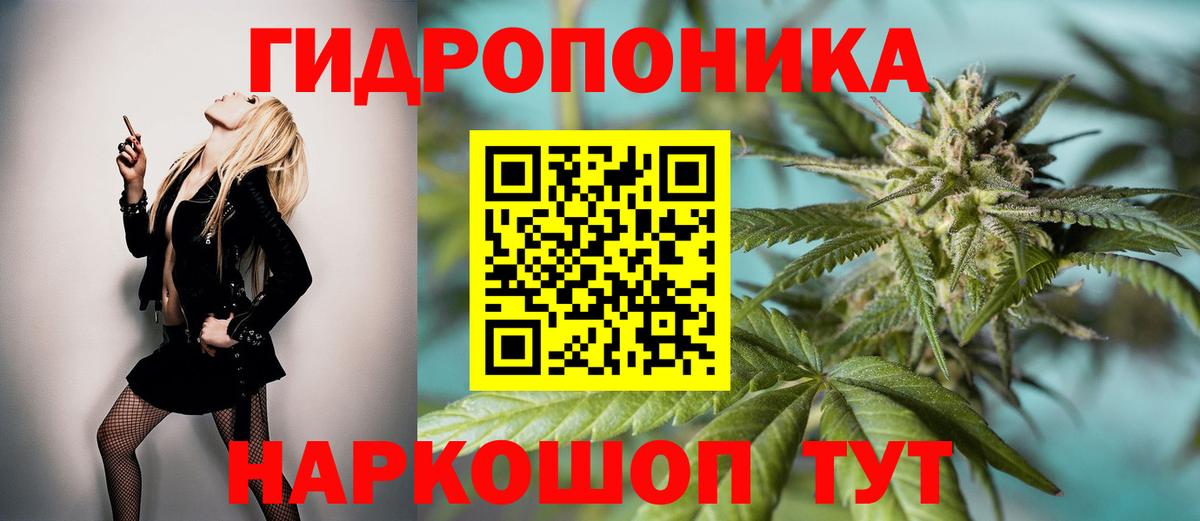 Бошки Шишки планчик Узловая